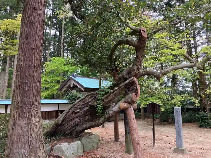 乙寳寺(新潟県)
