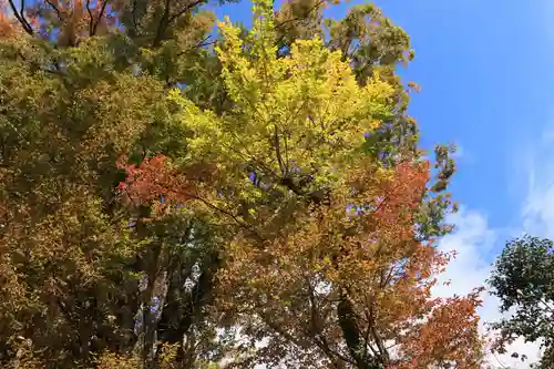 阿久津「田村神社」（郡山市阿久津町）旧社名：伊豆箱根三嶋三社の庭園