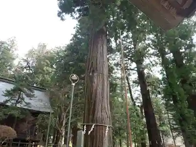 河口浅間神社(山梨県)