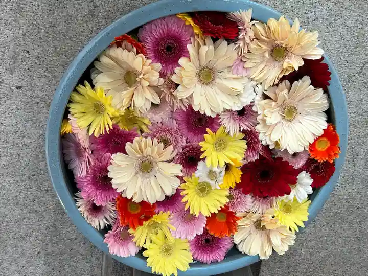 草加神社(埼玉県)