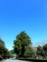 諏訪神社(静岡県)