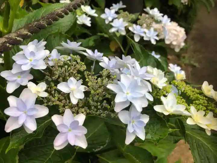 三室戸寺の自然