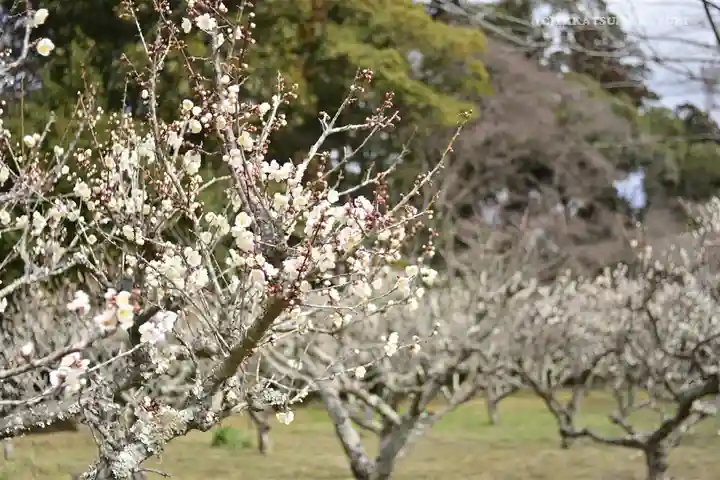 小御門神社(千葉県)