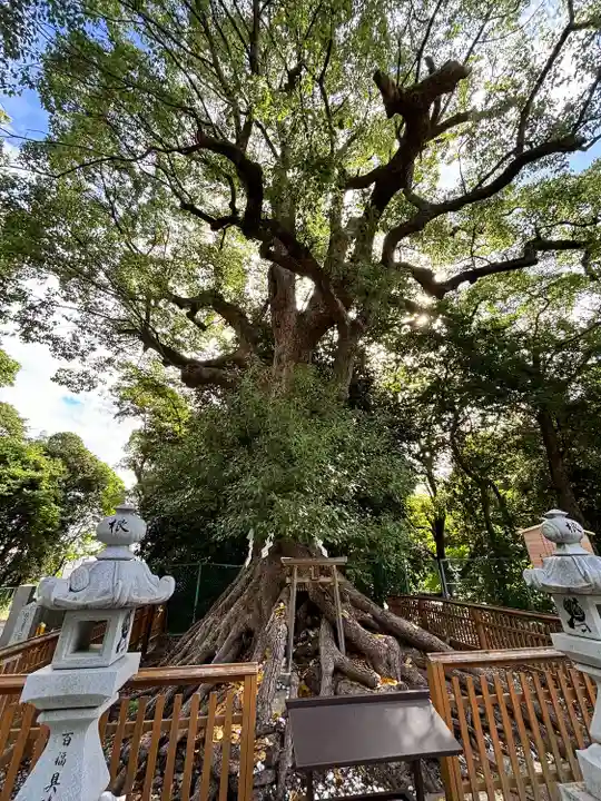 和泉國一之宮 大鳥大社(大阪府)