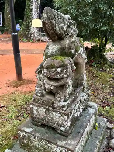 出雲大社北島国造館 出雲教の狛犬