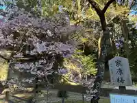 久能山東照宮(静岡県)