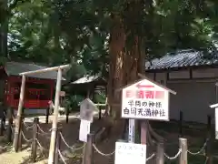 白岡八幡神社の歴史