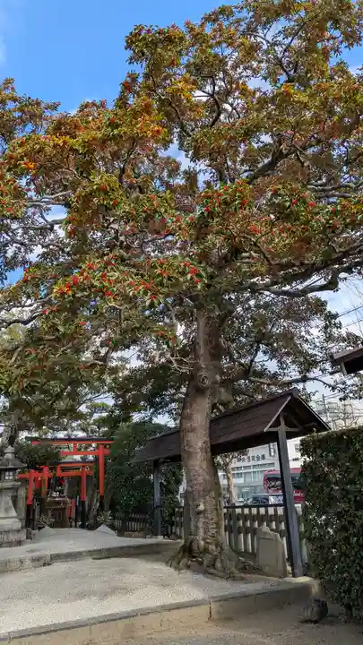 金攫八幡宮(京都府)