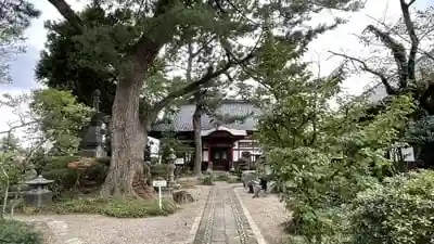 梅枝山　乗慶寺の建物その他