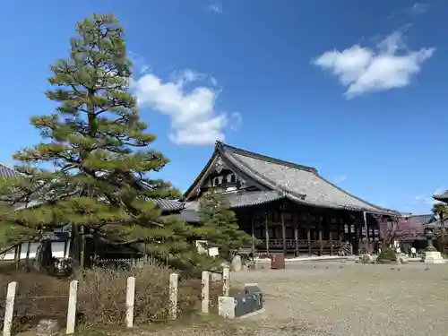 大通寺（長浜御坊）の建物その他