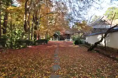 如法寺(愛媛県)