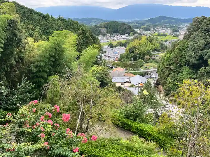 岡寺(龍蓋寺)(奈良県)