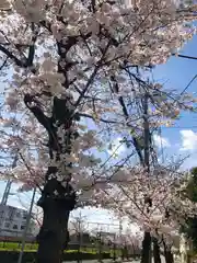 水堂須佐男神社の自然