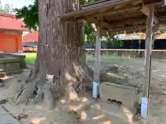 水神社(千葉県)