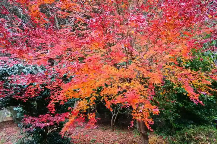 鹿島大神宮(福島県)