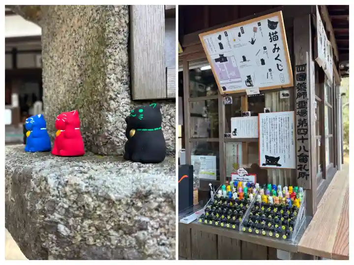 水観寺の{uncategorized: "未分類", other: "その他", undefined: "問題あり", building: "その他建物", grave: "お墓", sacred_gate: "鳥居", guardian: "狛犬", statue: "像", buddha: "仏像", history: "歴史", nature: "自然", garden: "庭園", animal: "動物", pagoda: "塔", temizu: "手水舎", mountain_gate: "山門・神門", sanctuary: "本殿・本堂", subordinate: "末社・摂社", art: "芸術", scenery: "景色", jizo: "地蔵", ema: "絵馬", goshuin: "御朱印", omikuji: "おみくじ", items: "授与品その他", amulet: "お守り", goshuincho: "御朱印帳", eats: "食事", festival: "お祭り", votive_dance: "神楽", shichigosan: "七五三参", wedding: "結婚式", experience: "体験その他", initially: "初詣", around: "周辺", anti_infection: "感染症対策"}