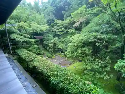 桂春院(京都府)