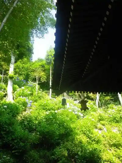 長谷寺のその他建物