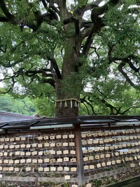 明治神宮(東京都)