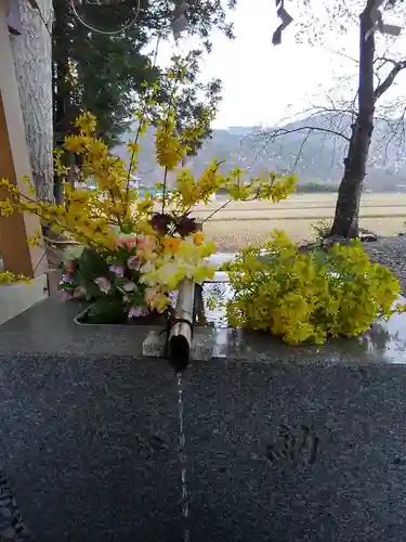 高司神社〜むすびの神の鎮まる社〜の手水