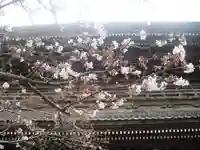 光明寺の山門・神門