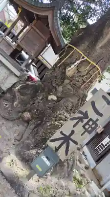 櫟谷七野神社(京都府)