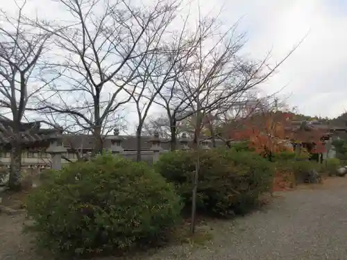 南法華寺（壷阪寺）(奈良県)