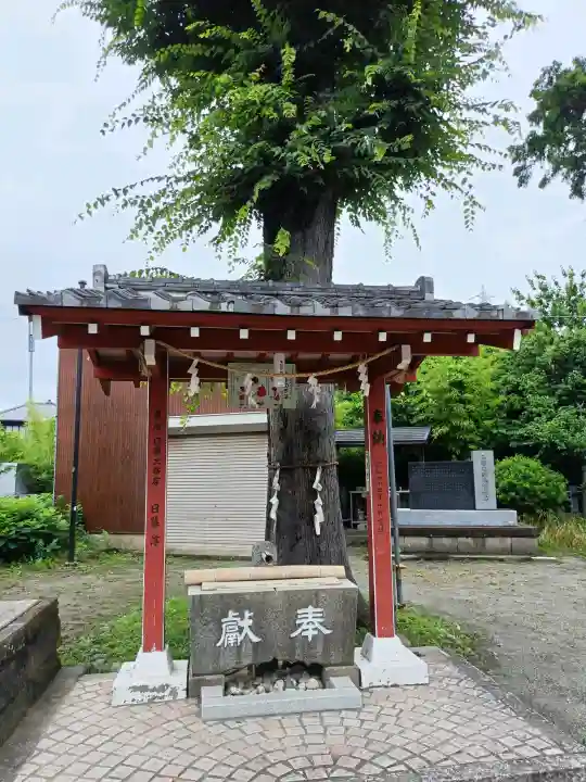 稲荷神社(神奈川県)
