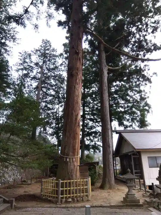 錦山神社(岐阜県)
