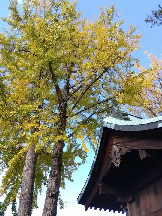 杉杜白髭神社(福井県)
