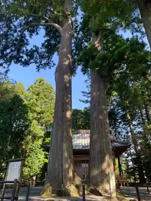 浅間神社の自然