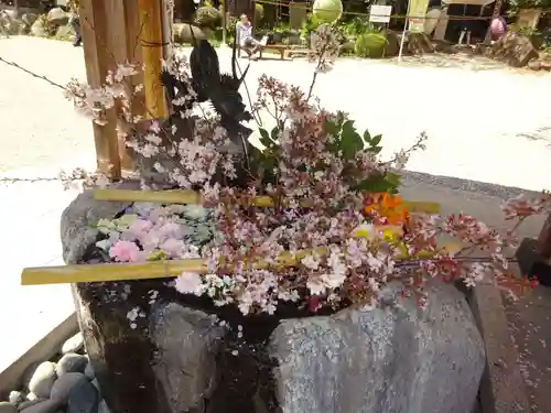 出雲大社相模分祠の手水舎