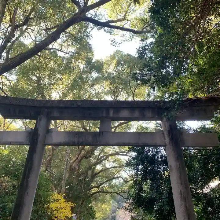 熊野三所神社(和歌山県)