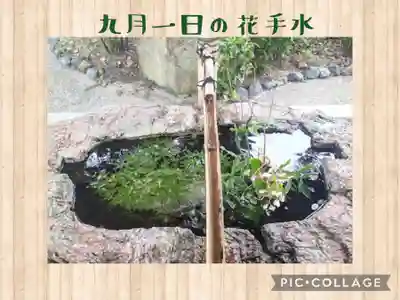 阿智神社の手水舎