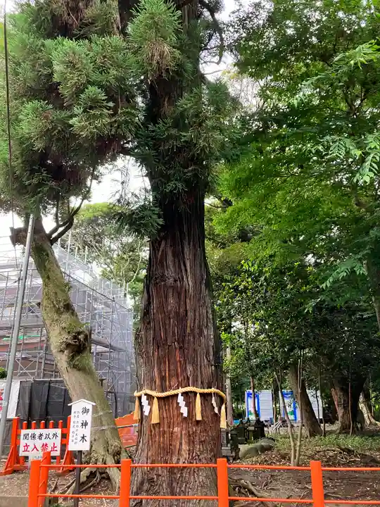 息栖神社(茨城県)