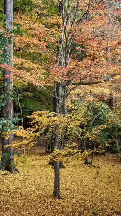 醍醐寺(京都府)