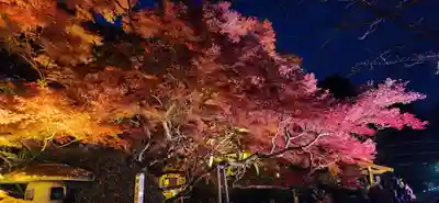 宝蔵寺(福島県)