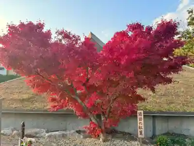 伊勢の国 四天王寺(三重県)