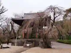 増上寺の建物その他