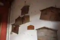 坂本観音堂の本殿・本堂