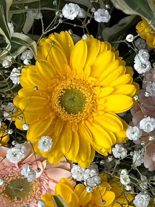 上尾御嶽神社の手水舎