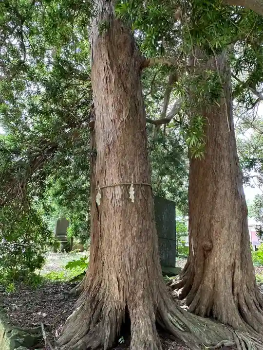 海上八幡宮(千葉県)