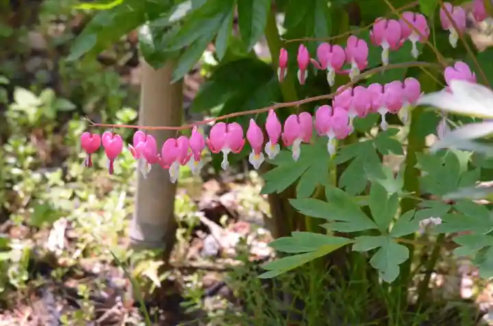 青龍山 吉祥寺(群馬県)