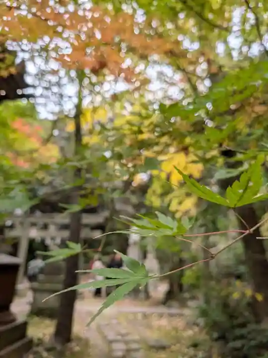 赤坂氷川神社(東京都)