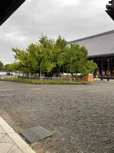 本願寺（西本願寺）(京都府)