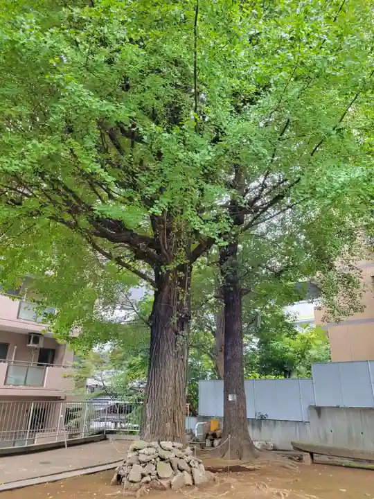 子易神社の自然