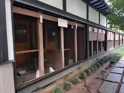 彌彦神社(新潟県)