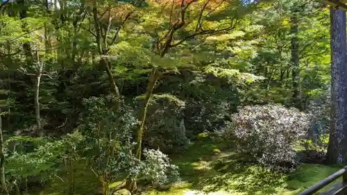 三千院門跡(京都府)
