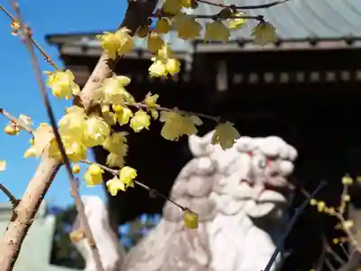 板倉雷電神社(群馬県)