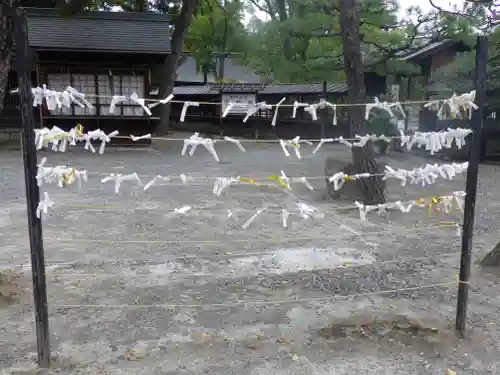 豊国神社のおみくじ